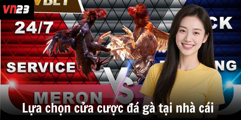 Lựa chọn cửa cược đá gà tại nhà cái