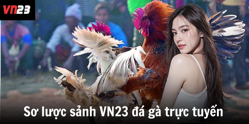 Sơ lược sảnh VN23 đá gà trực tuyến